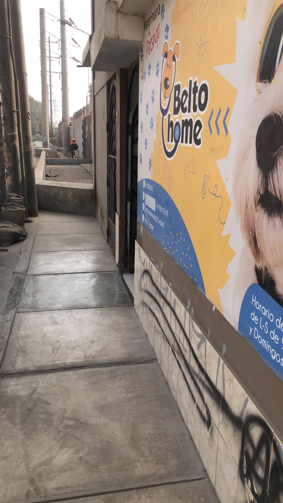 Diagnóstico veterinario en Belto Home